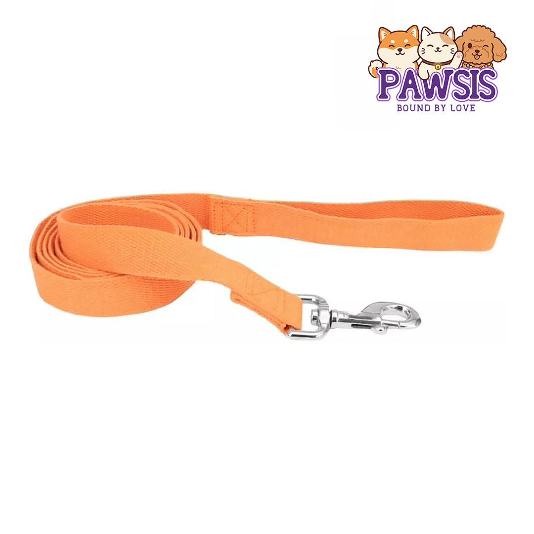 Pawsis - Dog Lead Pumpkin Orange - 6 feet x 5/8"W