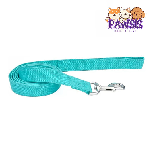 Pawsis - Dog Lead Mint Green - 6 feet x 5/8"W